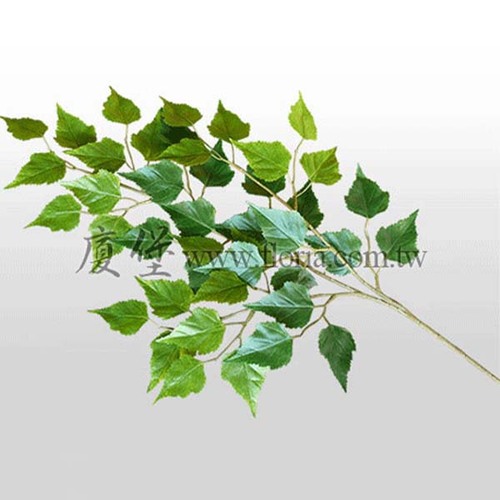 樺樹  |人造植栽|人造植物 / 植栽