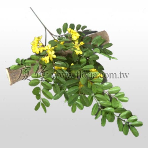 黃槐  |人造植栽|人造植物 / 植栽