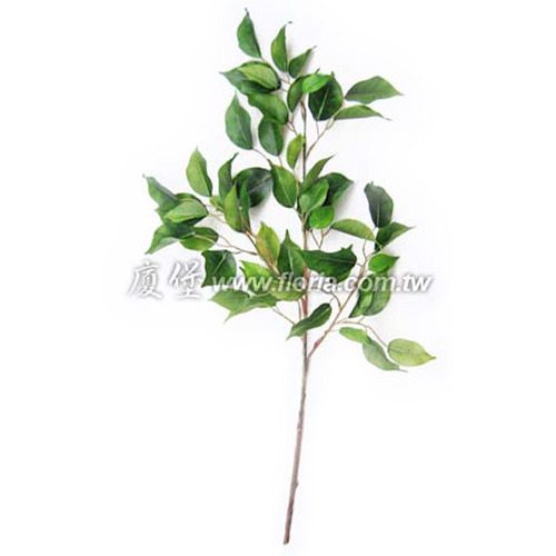 甜心雀榕  |人造植栽|人造植物 / 植栽