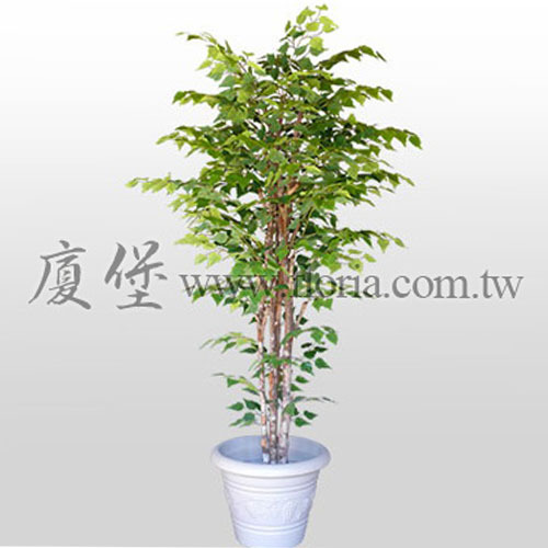樺樹  |人造植栽|人造樹
