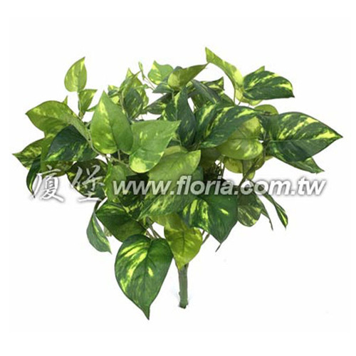 絲印萬年青  |人造植栽|人造植物 / 植栽